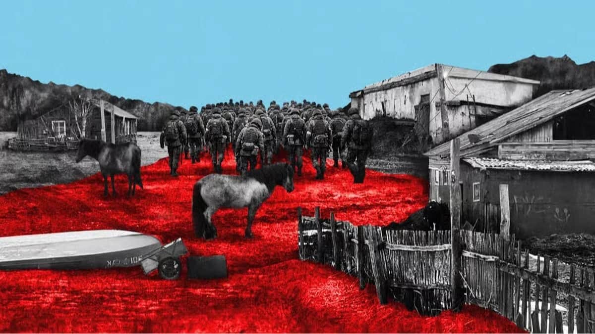 Collage: Lyalya Bulanova / Novaya Gazeta Europe