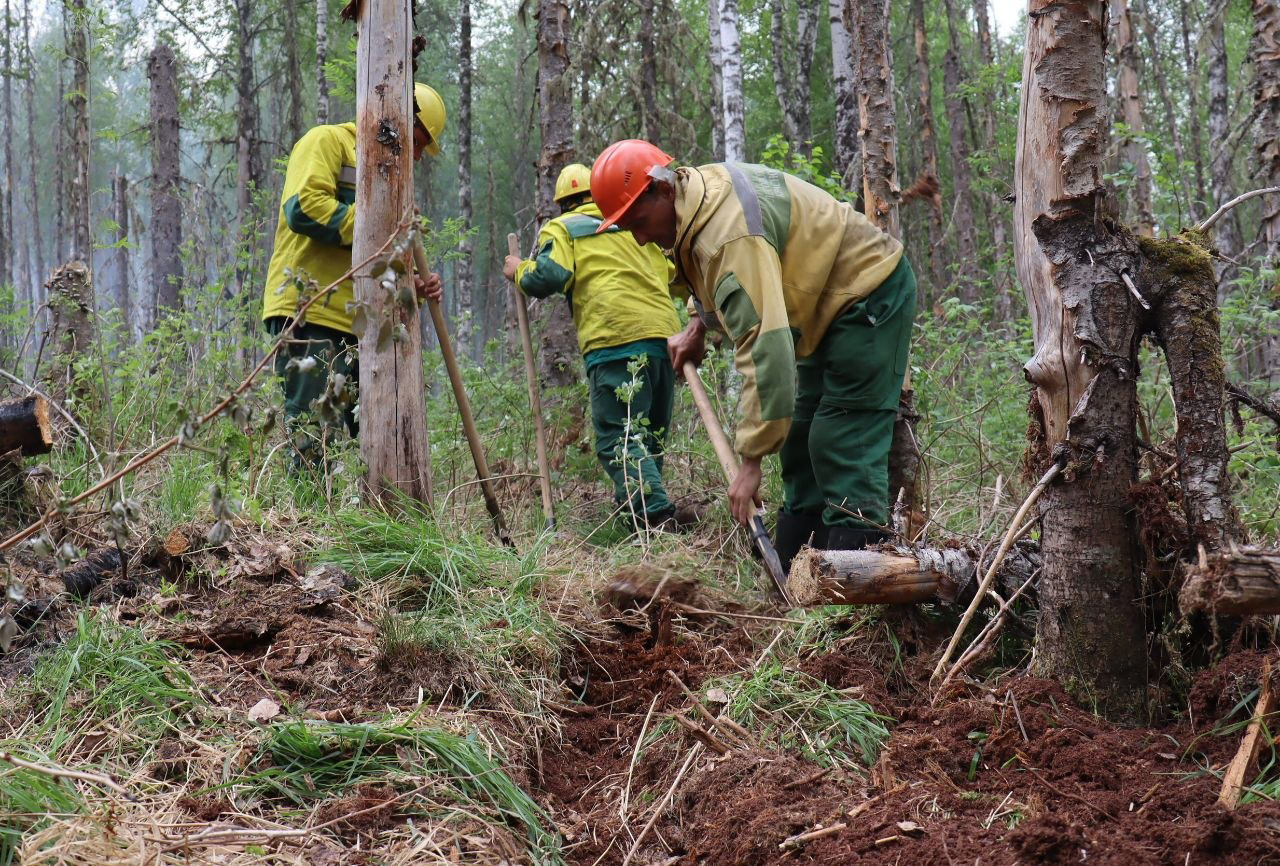 Фото: <a href="https://t.me/lpckrsk" target="_blank">Лесопожарный центр Красноярского края</a>