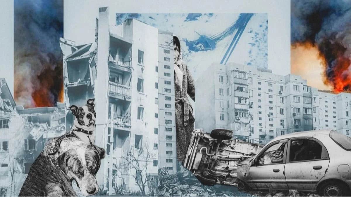 Collage: Novaya Gazeta Europe