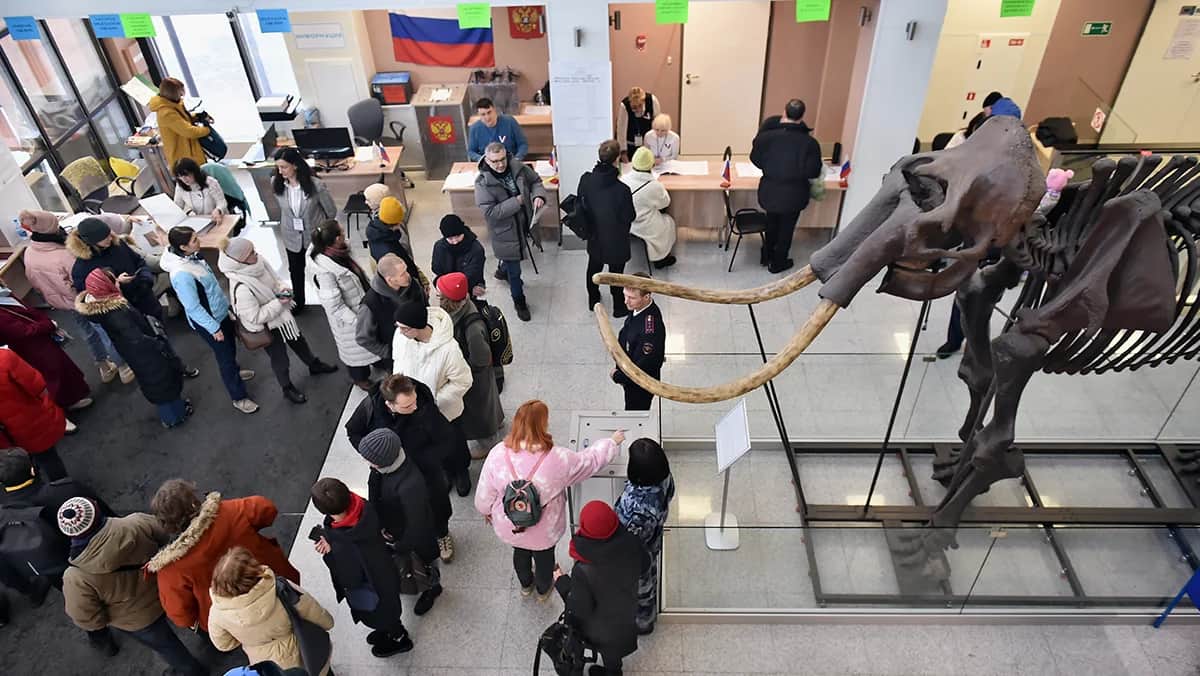 Голосование на президентских выборах в Новосибирском государственном университете, 17 марта 2024 года. Фото: Влад Некрасов / Коммерсантъ / Sipa USA / Vida Press