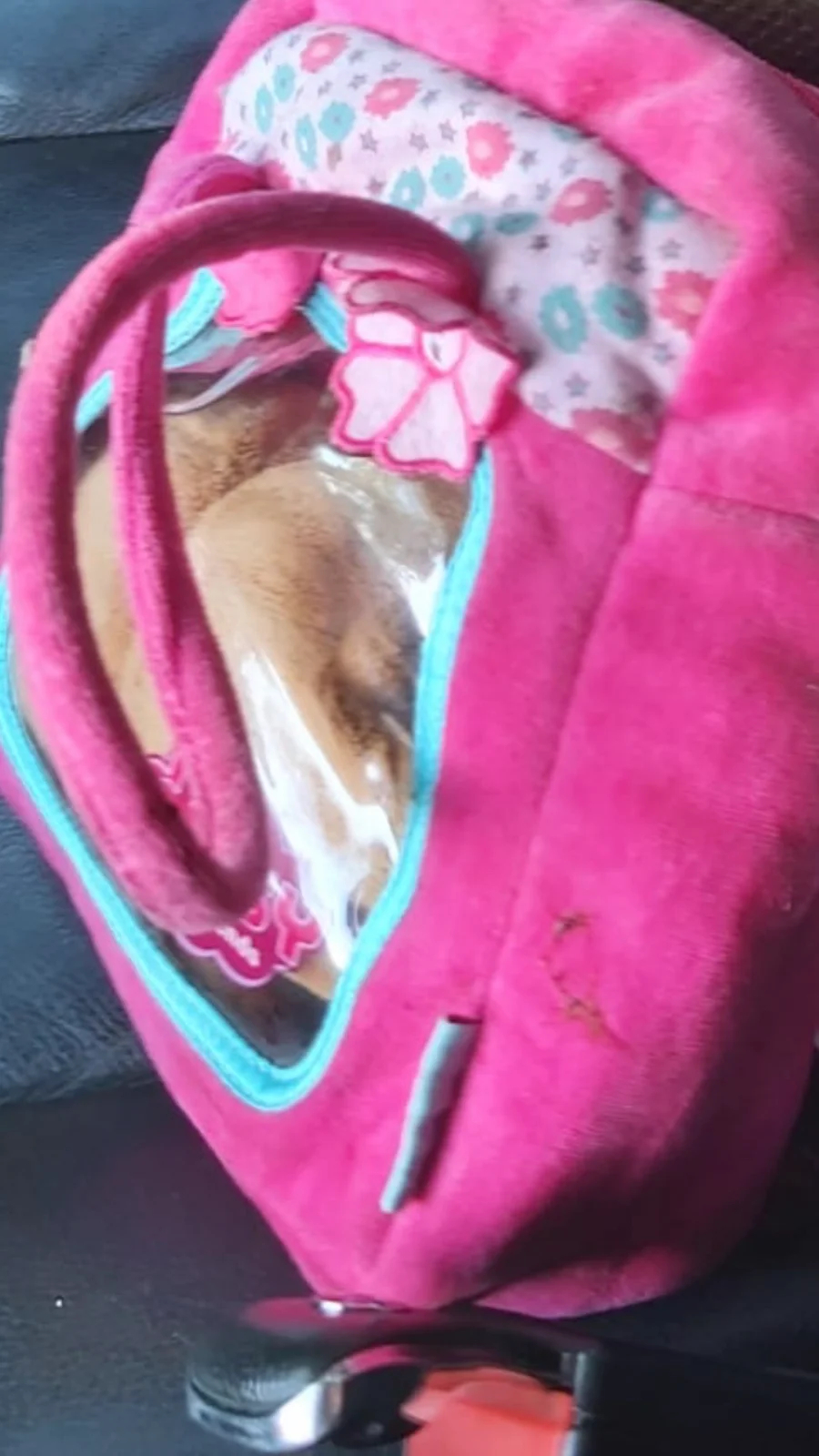 Liza`s backpack with traces of blood