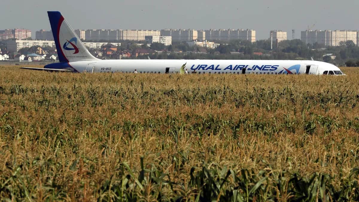 A Ural Airlines A-321 passenger plane in a field near Moscow’s Zhukovsky Airport after being forced to make an emergency landing, 15 August 2019. Photo: EPA-EFE/SERGEI ILNITSKY