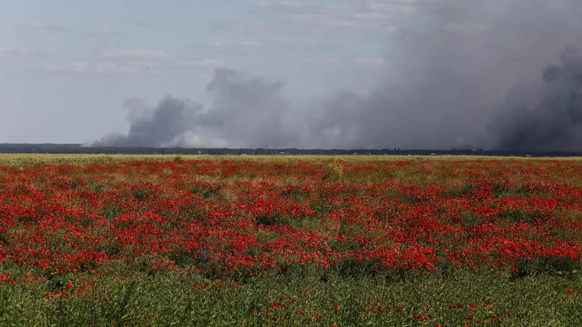 Smoke rises in the distance following shelling in the Kherson region, Ukraine, 8 June 2023. Photo: EPA-EFE/MYKOLA TYMCHENKO