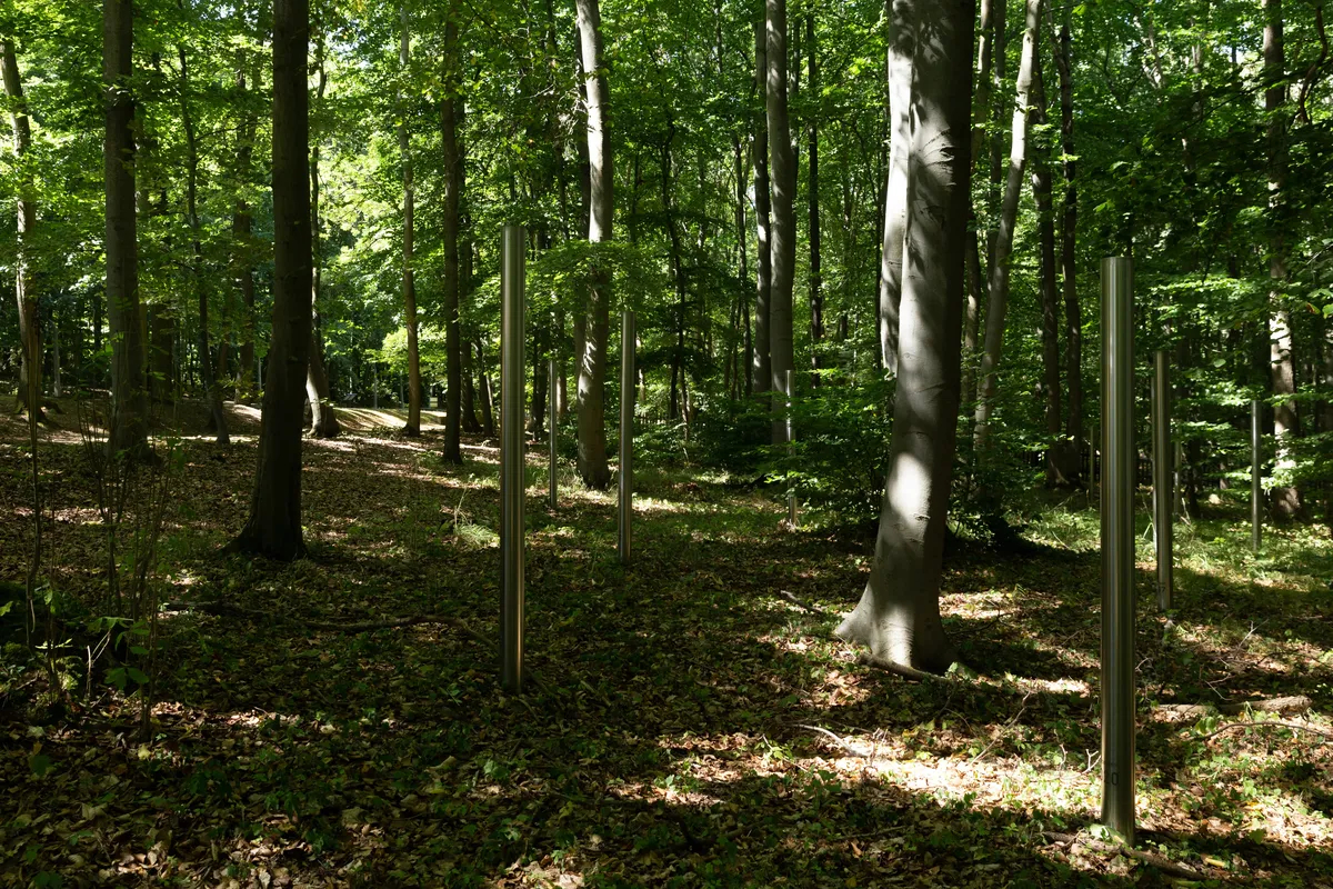 Лесное кладбище. Фото: Марина Меркулова