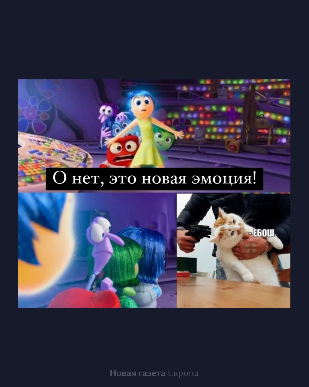 de189c35984747ab9b39102949f50c22.webp