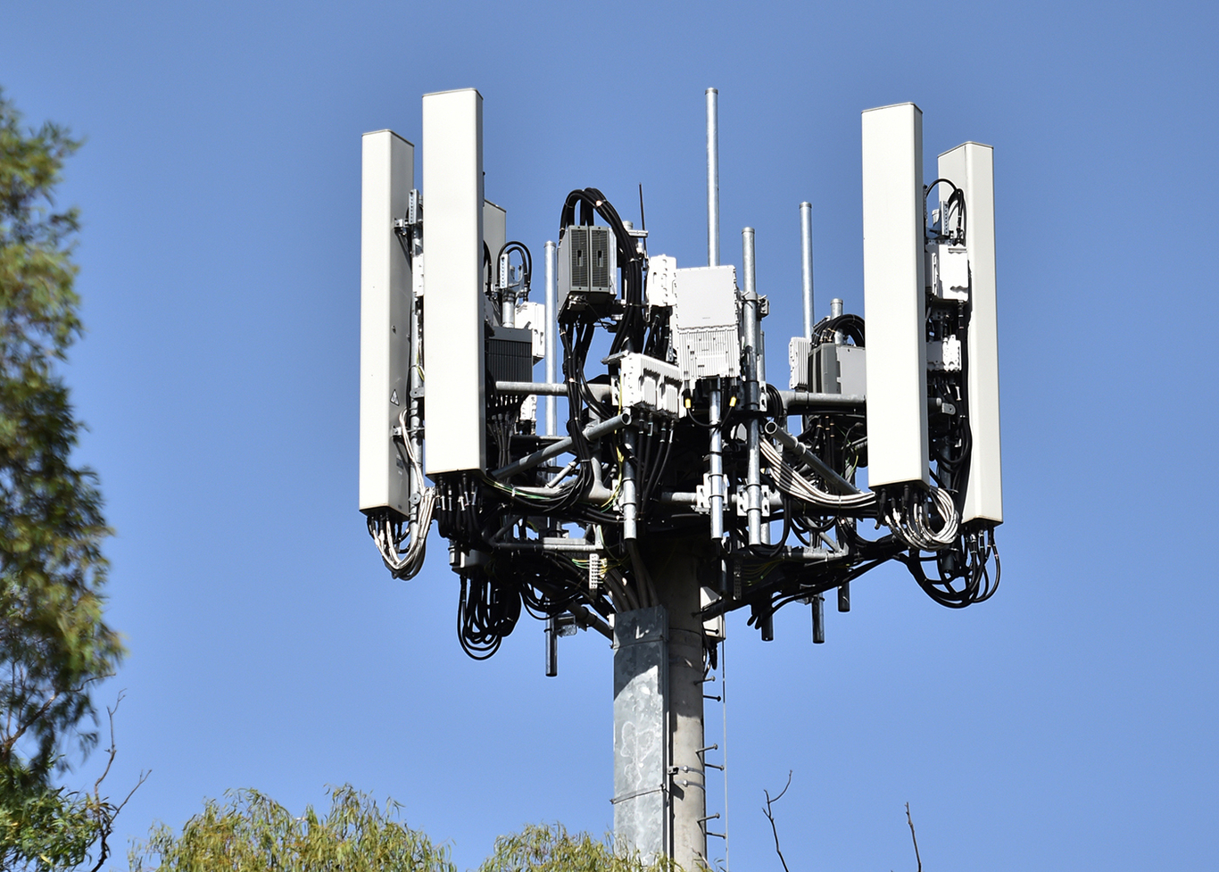 Первая вышка 5G Optus установлена в пригороде Диксон в Канберре, Австралия. 31 января 2019 года. Фото: Mick Tsikas / EPA