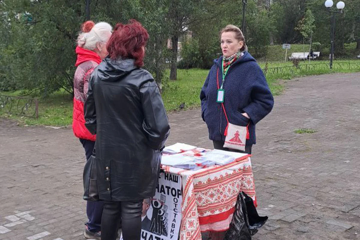 Сбор подписей за отмену выборов и отставку Владимира Солодова. Фото: @Kamc_hatka41 / <a data-sk="tooltip_parent" data-stringify-link="https://t.me/VasiliaVasilevna/8276" href="https://t.me/VasiliaVasilevna/8276" rel="noopener noreferrer" target="_blank">Telegram</a>