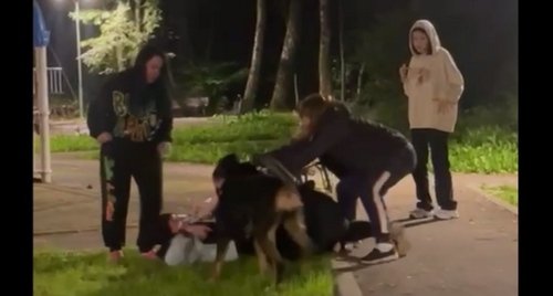 Момент нападения на женщину в хиджабе в Новой Москве. Фото: скрин видео
