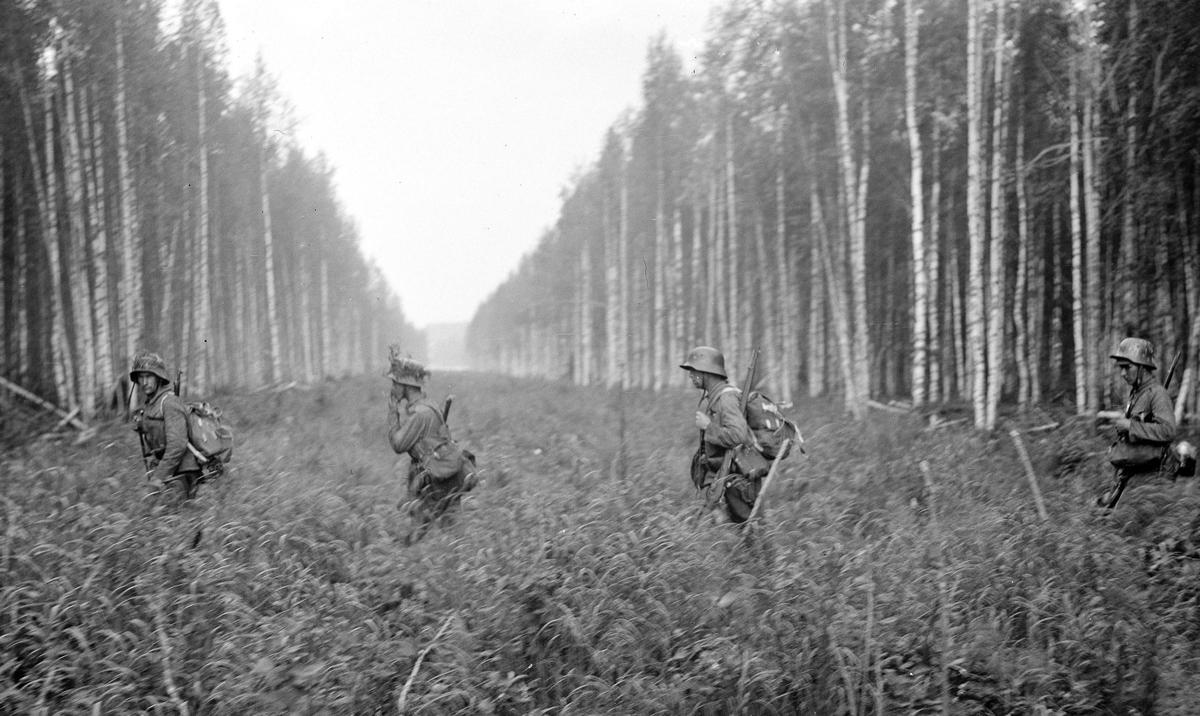 Финские солдаты пересекают границу с СССР, лето 1941 года. Фото: Wikimedia Commons