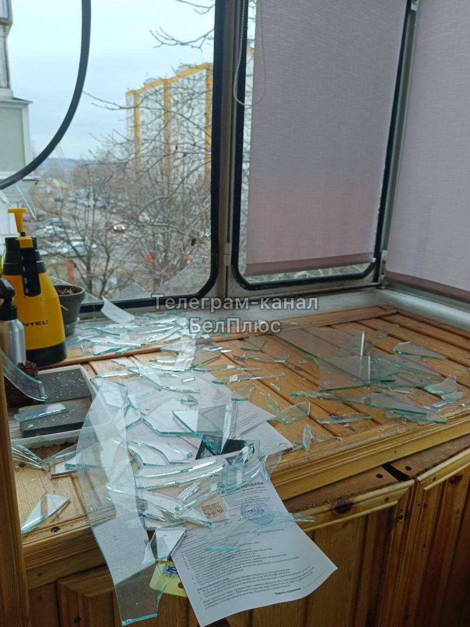 Белгород. Фото: Telegram