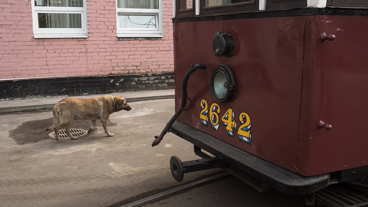Фото: Дмитрий Цыганов