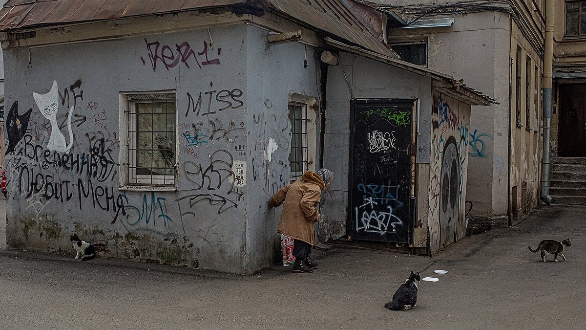 Фото: Дмитрий Цыганов