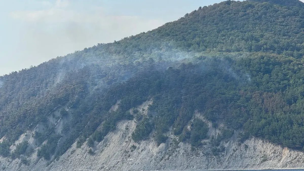 A forest fire burns near Gelendzhik, southern Russia, 28 August 2025. Photo: Gelendzhik Mayor Alexey Bogodistov