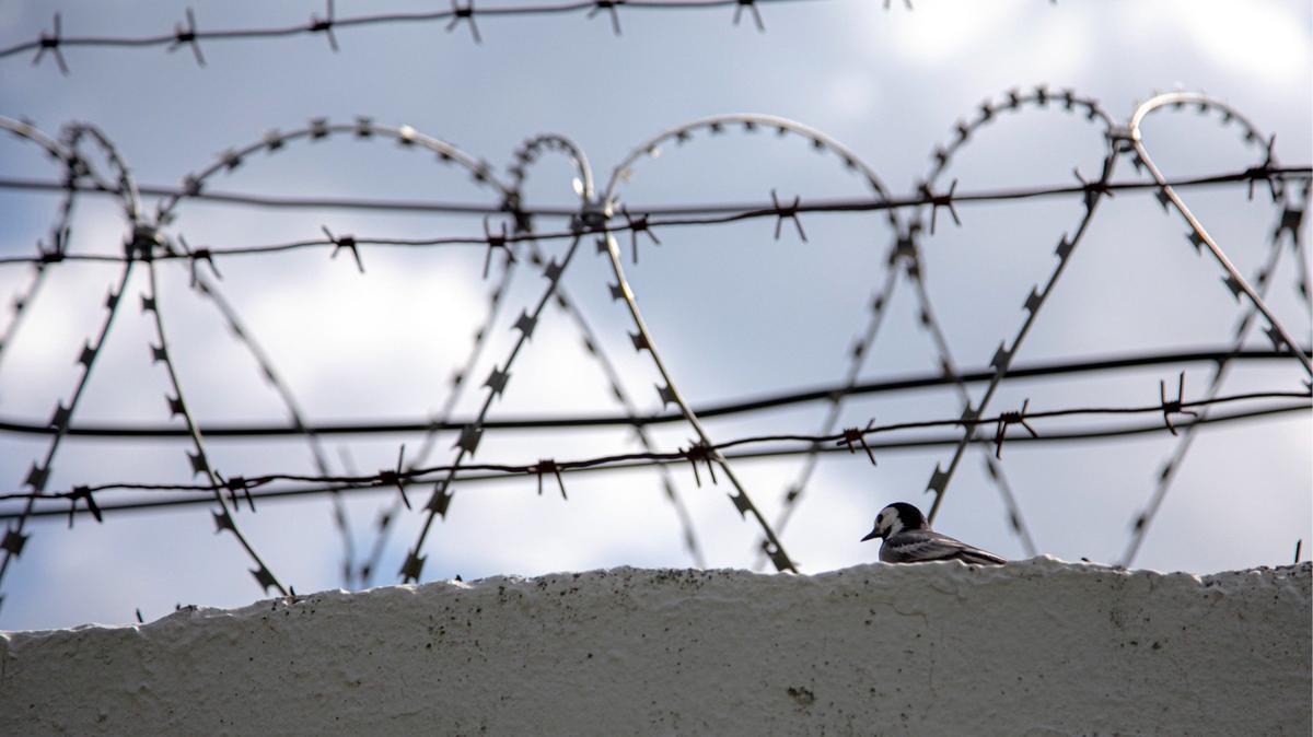 Бывшего начальника камчатской колонии приговорили к пяти годам заключения за «передачу власти лидерам движения АУЕ»